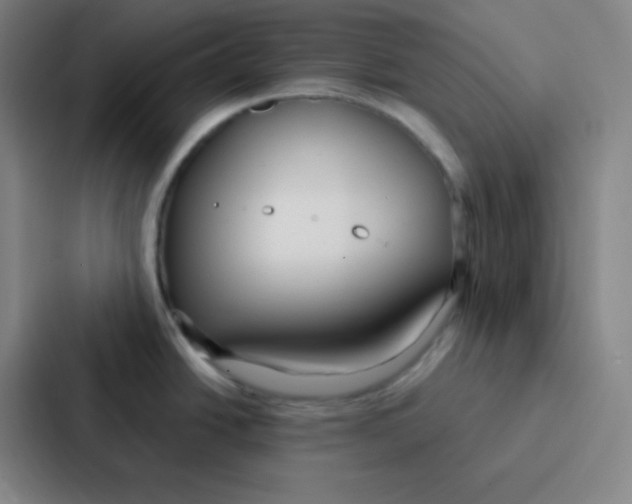 X0000086951438200705141813