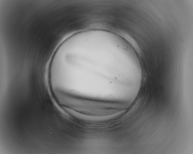 X0000086951439200705141813