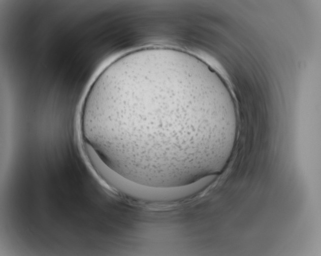 X0000086951440200705141813