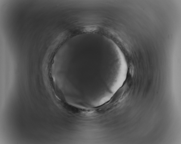 X0000086951441200705141813