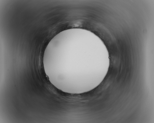 X0000086951442200705141813