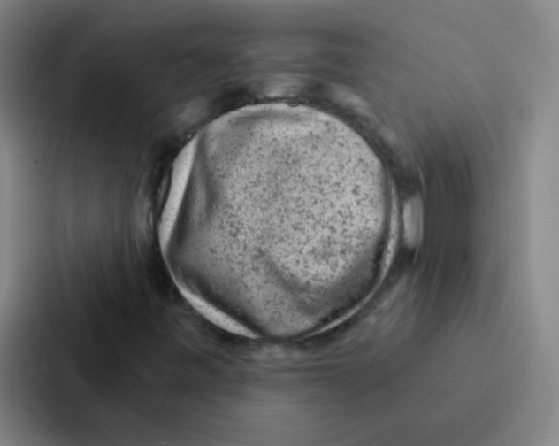 X0000086951443200705141813