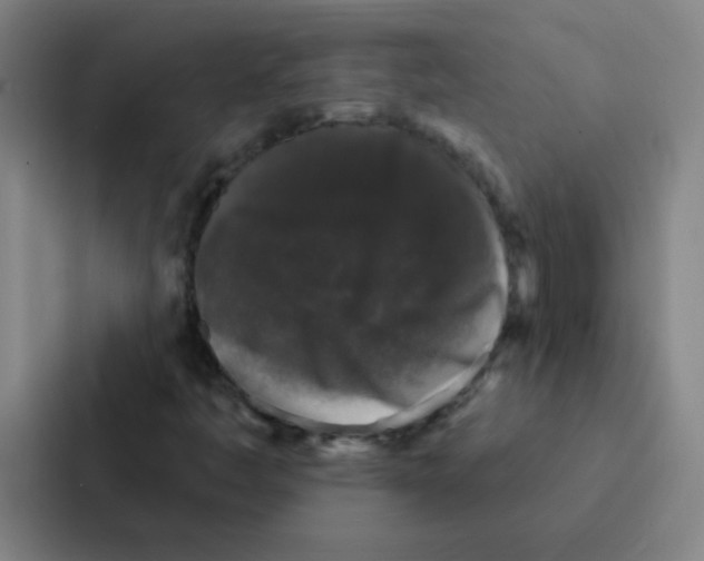 X0000086951445200705141813