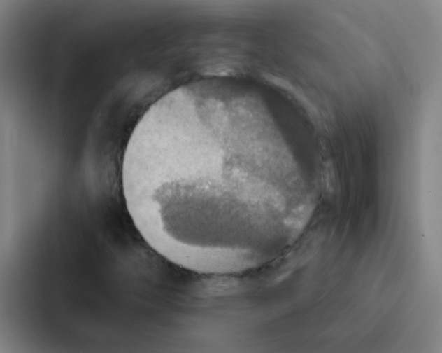 X0000086951446200705141813