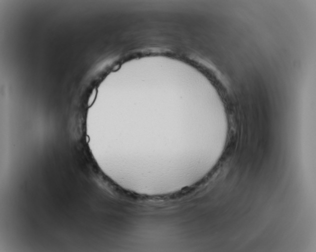 X0000086951448200705141812