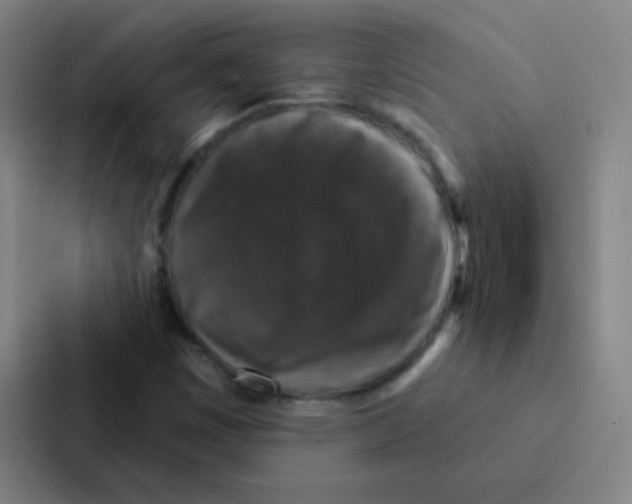 X0000086951449200705141812