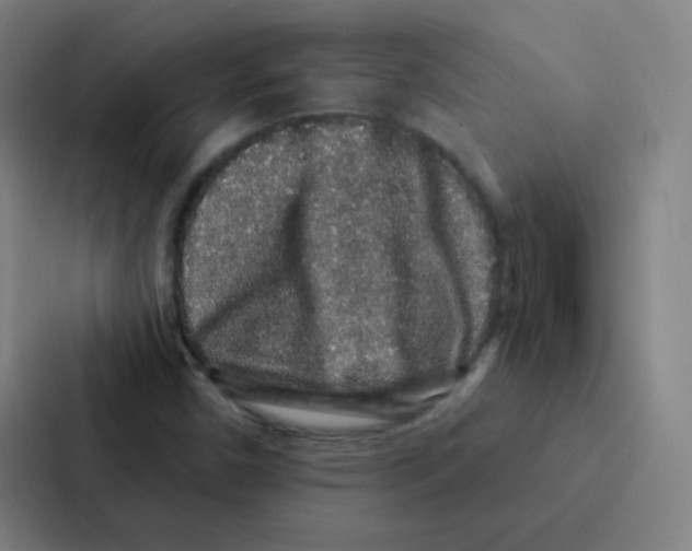 X0000086951450200705141812