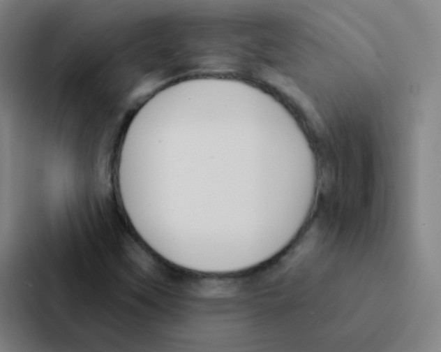 X0000086951451200705141812