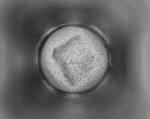 X0000086951452200705141812