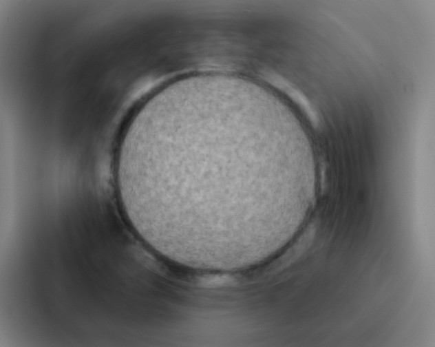 X0000086951454200705141812