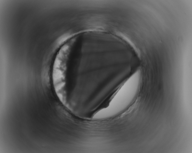 X0000086951455200705141812