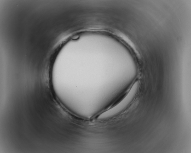 X0000086951456200705141812