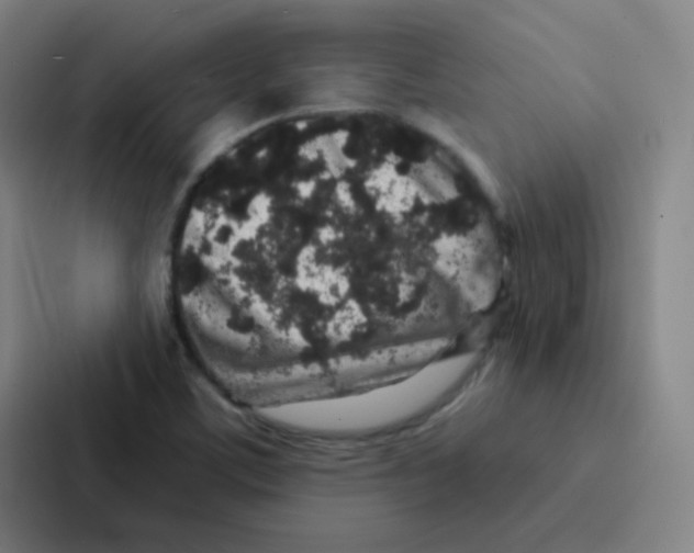 X0000086951459200705141812