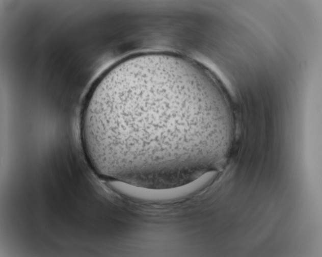 X0000086951460200705141812