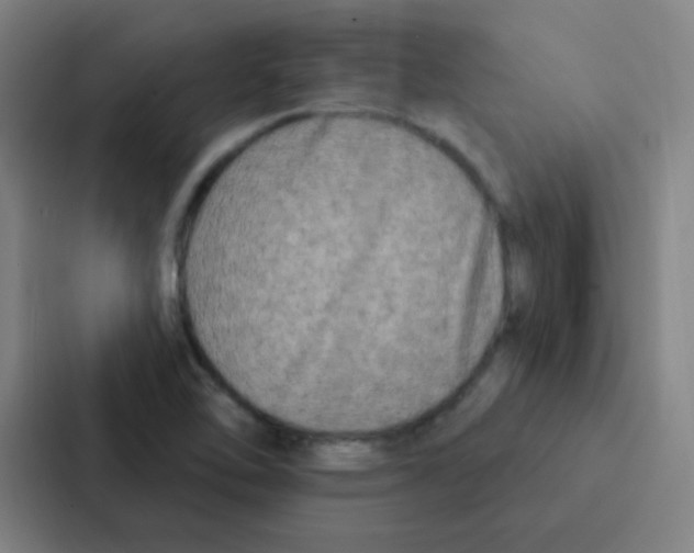 X0000086951462200705141812