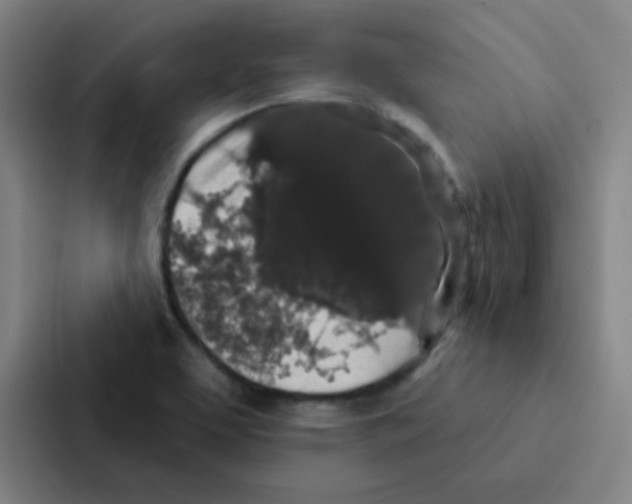 X0000086951463200705141812