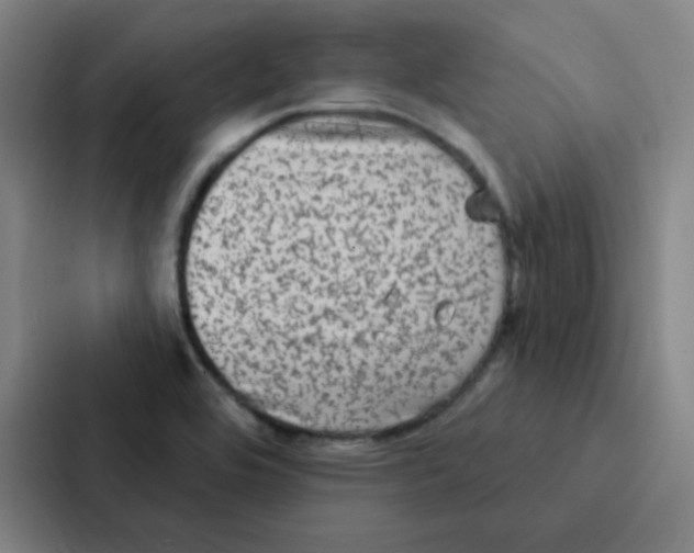 X0000086951464200705141812