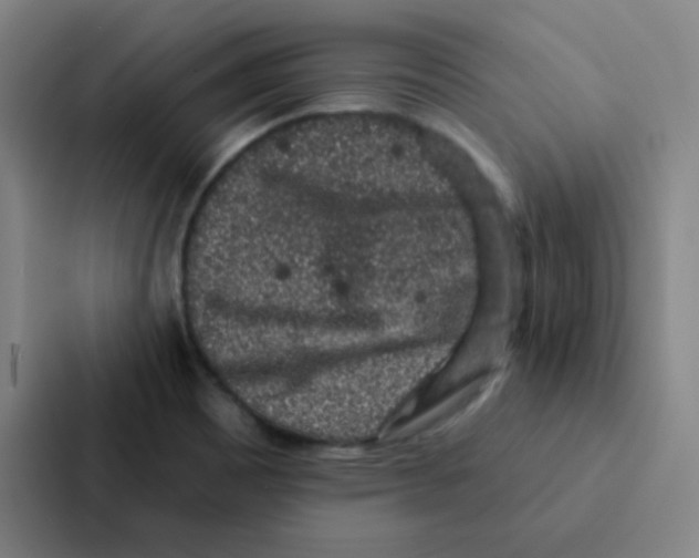 X0000086951465200705141812