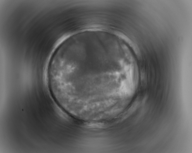 X0000086951466200705141812