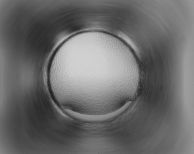 X0000086951468200705141812