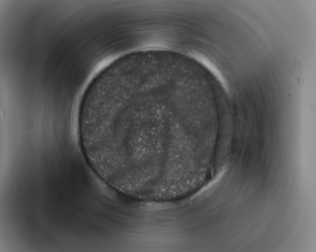 X0000086951469200705141812