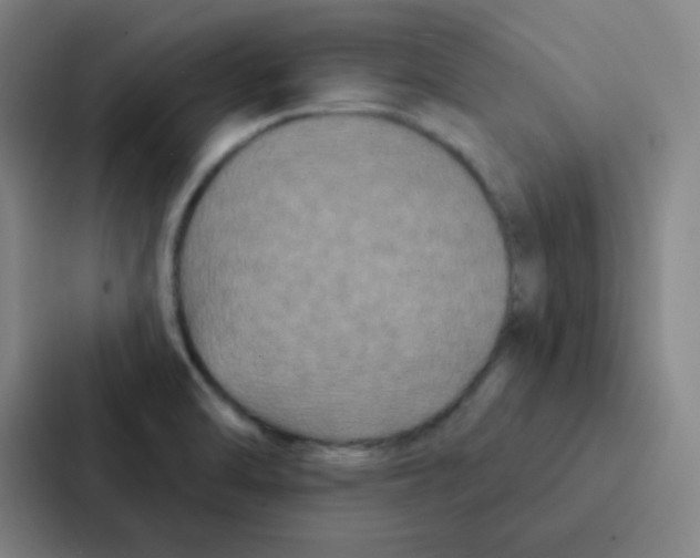 X0000086951470200705141812