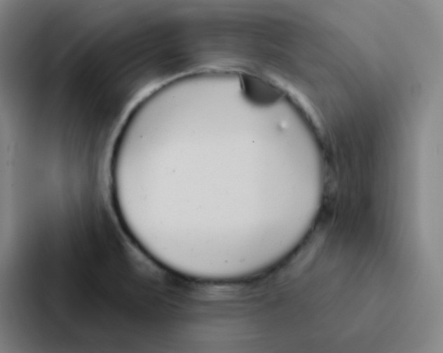 X0000086951471200705141812