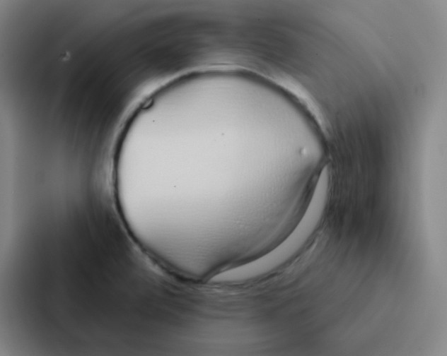 X0000086951472200705141812