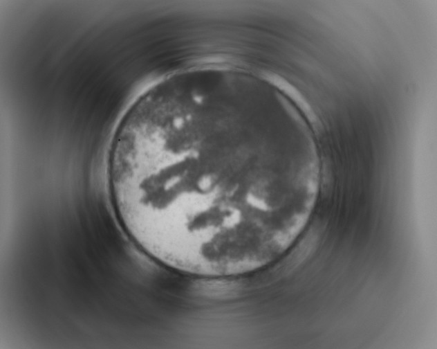 X0000086951474200705141812