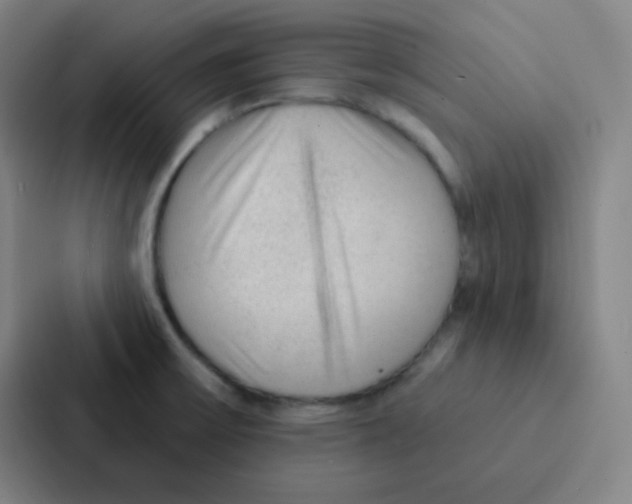 X0000086951475200705141812