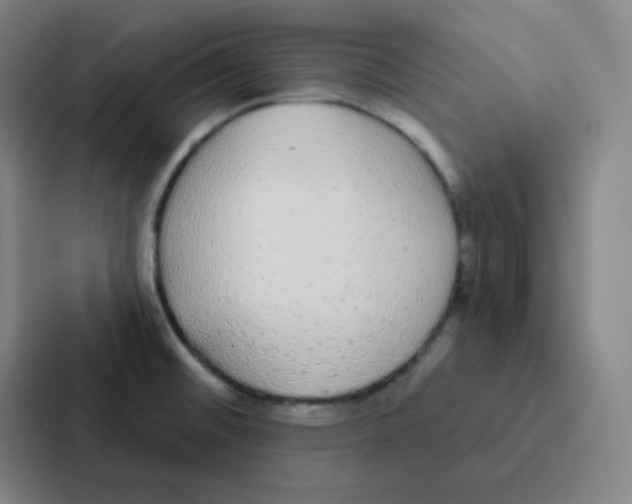 X0000086951476200705141812