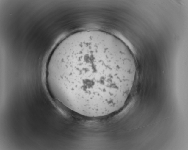 X0000086951477200705141812