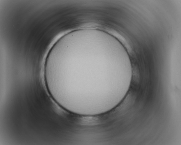 X0000086951478200705141812