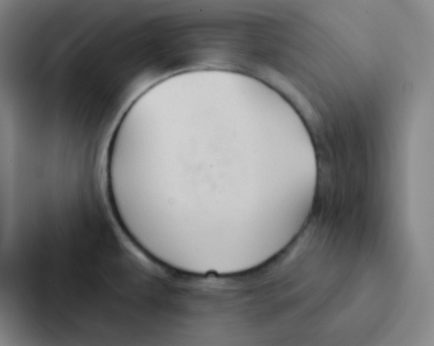 X0000086951479200705141812