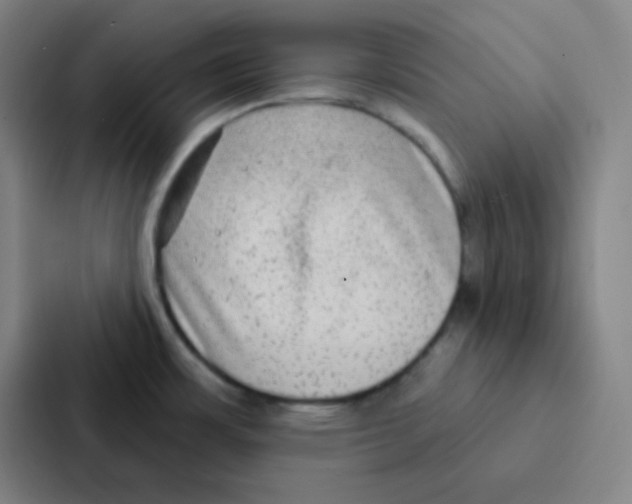 X0000086951483200705141812