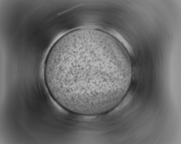 X0000086951484200705141812