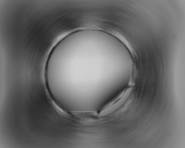 X0000086951485200705141812