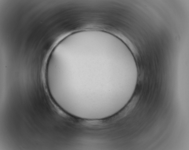 X0000086951486200705141812