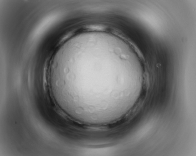 X0000086951487200705141812