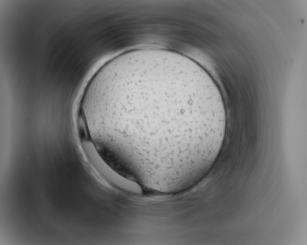 X0000086951488200705141812