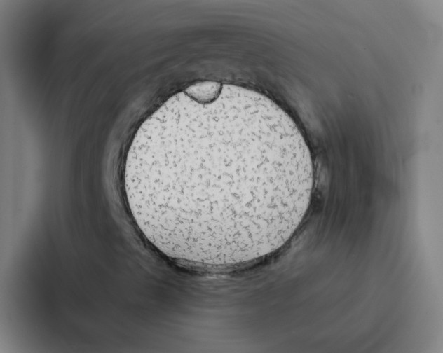 X0000086951489200705141811