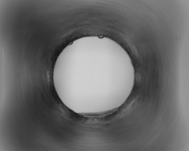 X0000086951490200705141811