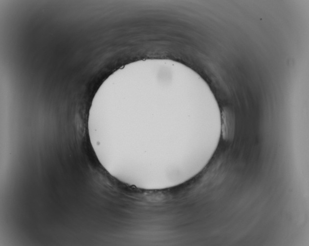 X0000086951491200705141811