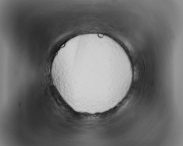 X0000086951494200705141811