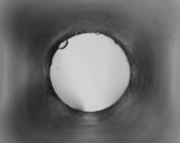 X0000086951495200705141811