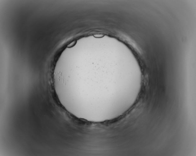 X0000086951496200705141811