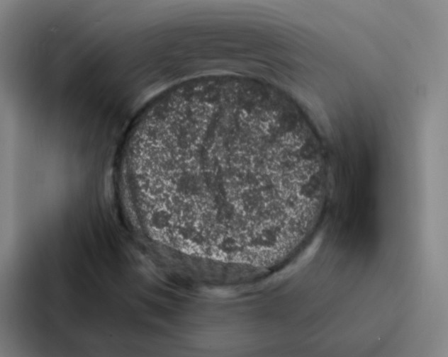 X0000086951497200705141811