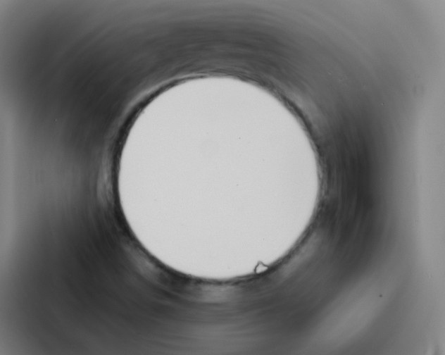 X0000086951498200705141811