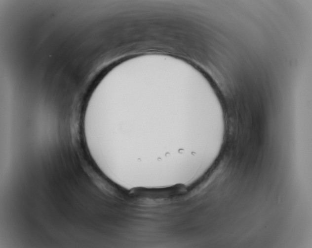 X0000086951499200705141811