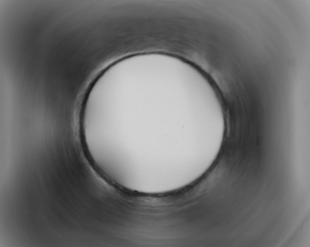 X0000086951500200705141811